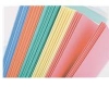 Papier ksero kolorowy mix opk. 100 ark. kolory pastelowe